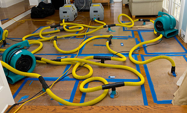 Professional Emergency Water Removal technician working in Snowville, UT